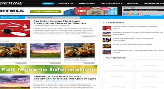 MyThemeShop-Fortune-WordPress-Theme