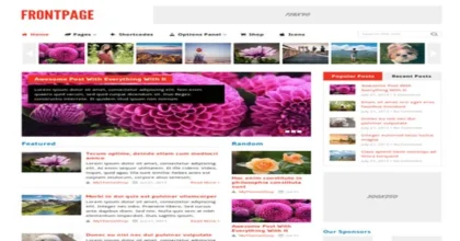 MyThemeShop-Frontpage-WordPress-Theme