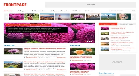 MyThemeShop-Frontpage-WordPress-Theme