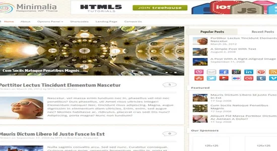 MyThemeShop-Minimalia-WordPress-Theme