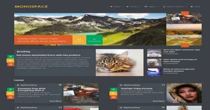 MyThemeShop-Monospace-WordPress-Theme