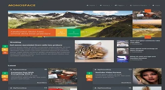 MyThemeShop-Monospace-WordPress-Theme