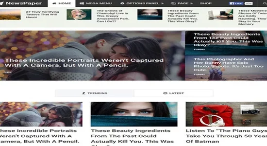 MyThemeShop-Newspaper-WordPress-Theme