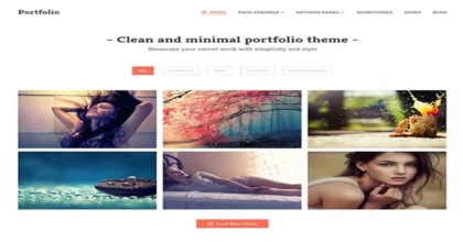 MyThemeShop-Portfolio-WordPress-Theme