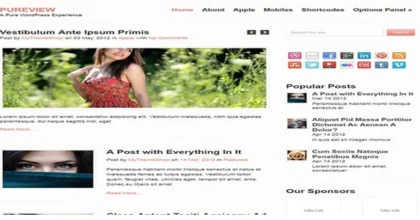 MyThemeShop-Pureview-WordPress-Theme