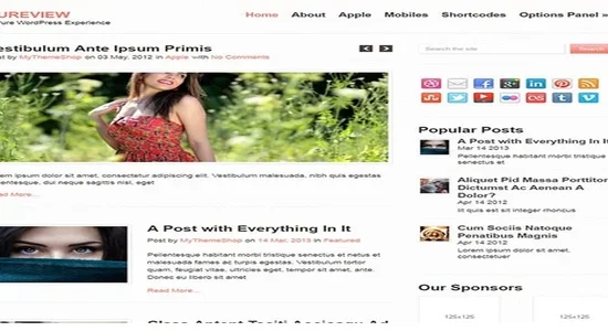 MyThemeShop-Pureview-WordPress-Theme