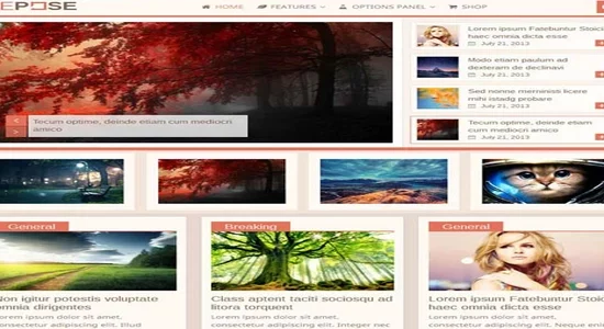 MyThemeShop-Repose-WordPress-Theme