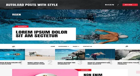 MyThemeShop-Risen-WordPress-Theme