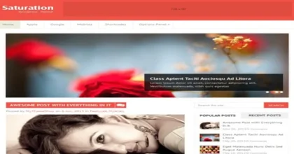 MyThemeShop-Saturation-WordPress-Theme