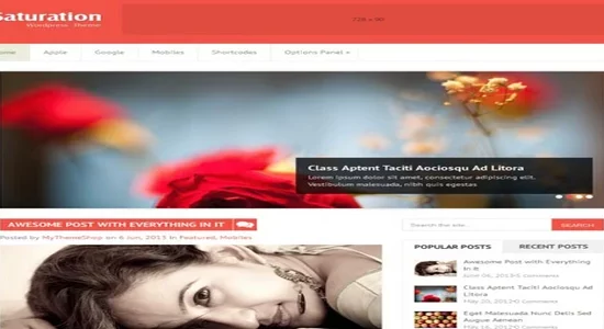 MyThemeShop-Saturation-WordPress-Theme