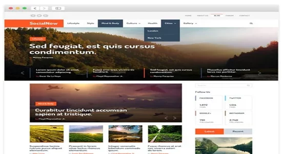 MyThemeShop-Social-Now-WordPress-Theme