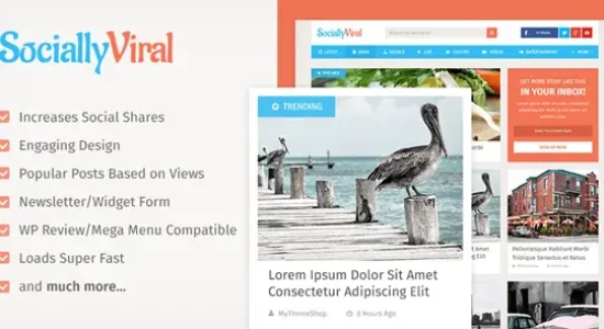 MyThemeShop-SociallyViral-WordPress-Theme