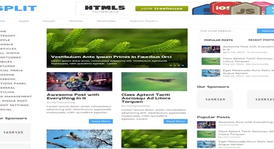 MyThemeShop-Split-WordPress-Theme