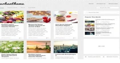 MyThemeShop-Urban-WordPress-Theme