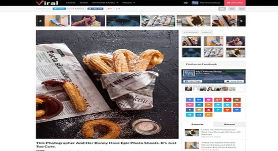 MyThemeShop-Viral-WordPress-Theme