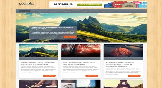 MyThemeShop-Woodie-WordPress-Theme