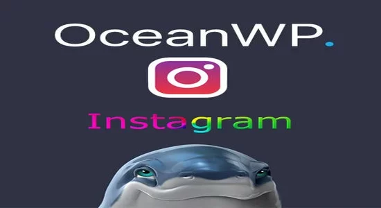 OceanWP-Instagram