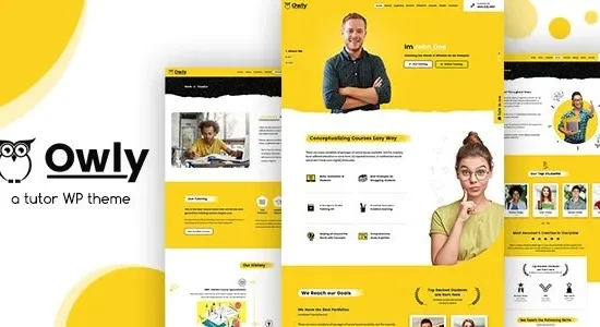 Owly Tutoring & eLearning WP Theme