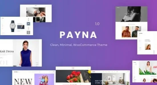 Payna Clean, Minimal WooCommerce Theme