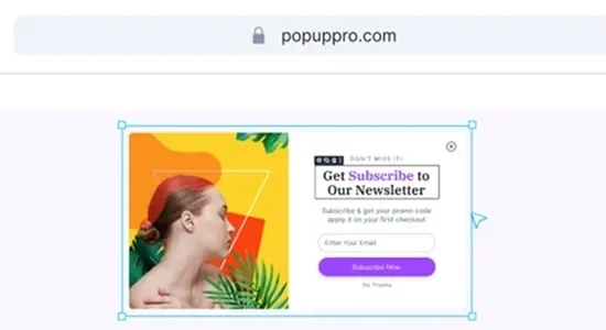 Popup Pro