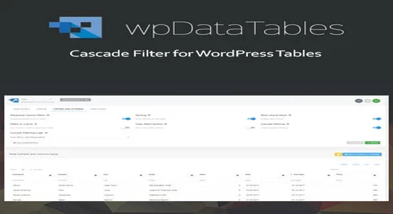 Powerful-Filters-for-wpDataTable