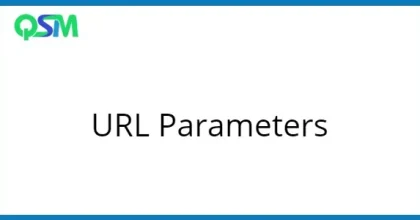 QSM URL Parameters