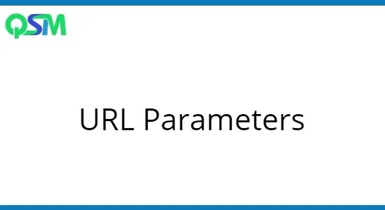 QSM URL Parameters