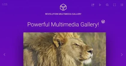 Revolution Multimedia Gallery - Wordpress & WooCommerce Plugin