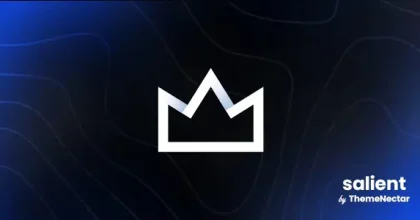 Salient-Creative-Multipurpose-WooCommerce-Theme