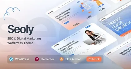 Seoly - SEO & Digital Marketing WordPress Theme