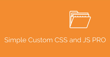 Simple Custom CSS and JS PRO