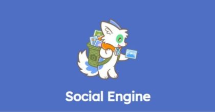 Social Engine Pro wordpress plugin