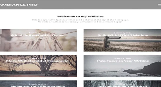 StudioPress-Ambiance-Pro-Genesis-WordPress-Theme