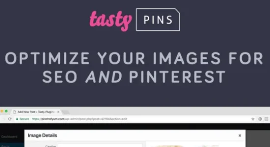 Tasty Pins WordPress Plugin for WP Tasty