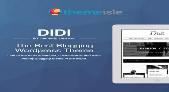 ThemeIsle-Didi-WordPress-Theme-1