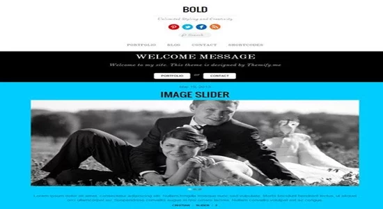 Themify-Bold-WordPress-Theme