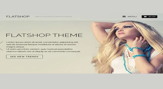 Themify-Flatshop-WooCommerce-Theme