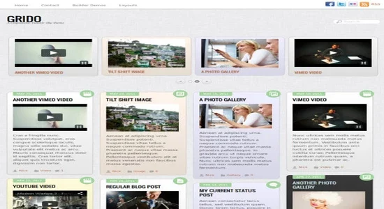 Themify-Grido-WordPress-Theme