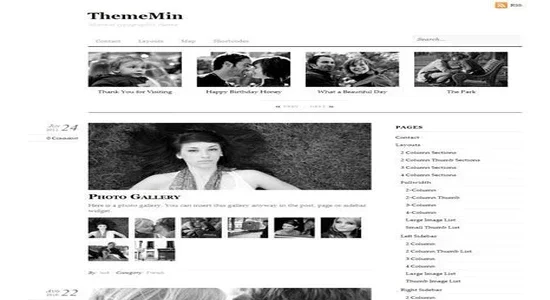 Themify-Thememin-WordPress-Theme