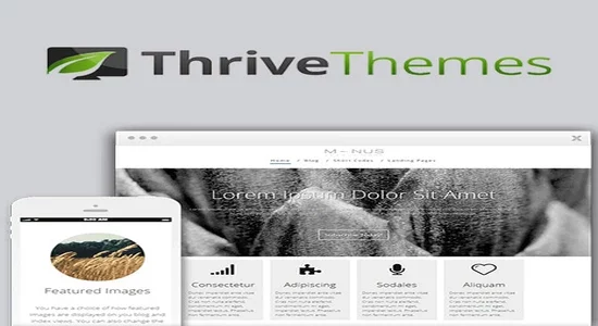 Thrive-Themes-Minus-WordPress-Theme