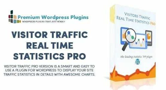 Visitor-Traffic-Real-Time-Statistics-Pro