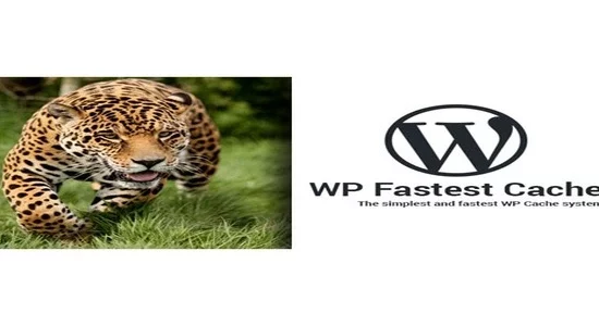 WP-Fastest-Cache-WordPress-Plugi