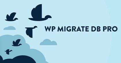 WP-Migrate-DB-Pro