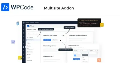 WPCode Multisite Addon