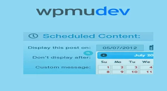 WPMU-DEV-Schedule-Selected-Conte