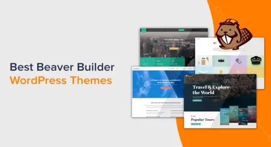 bestbeaverbuilderwordpressthemes