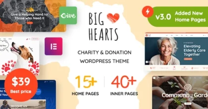 bighearts charity WordPress Theme