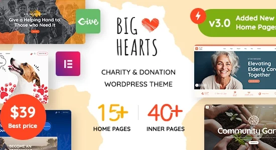 bighearts charity WordPress Theme