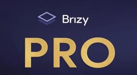 brizy-pro-1