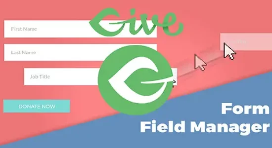 give-form-field-manager-1